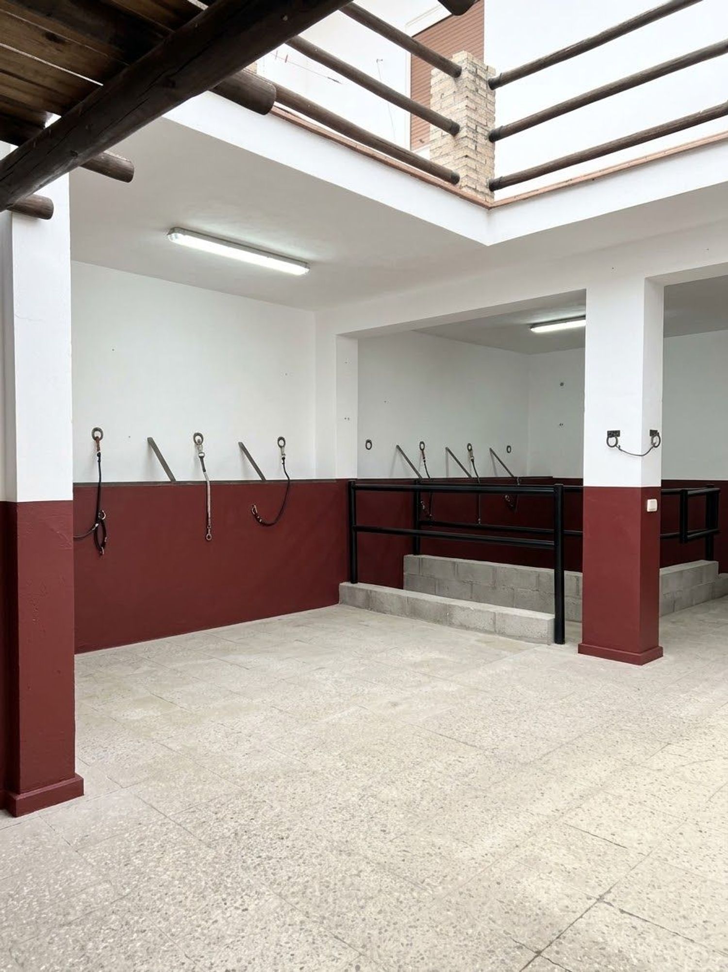 Chalet adosado en Calle Torre Carbonero, 147, El Rocío, El Rocío - Foto 10