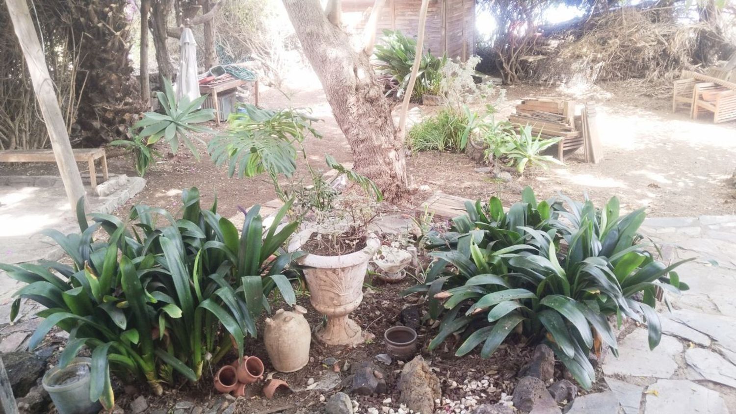Finca rústica en Carretera Enlace el Ramal, 18 L, Centro, Centro - Foto 3