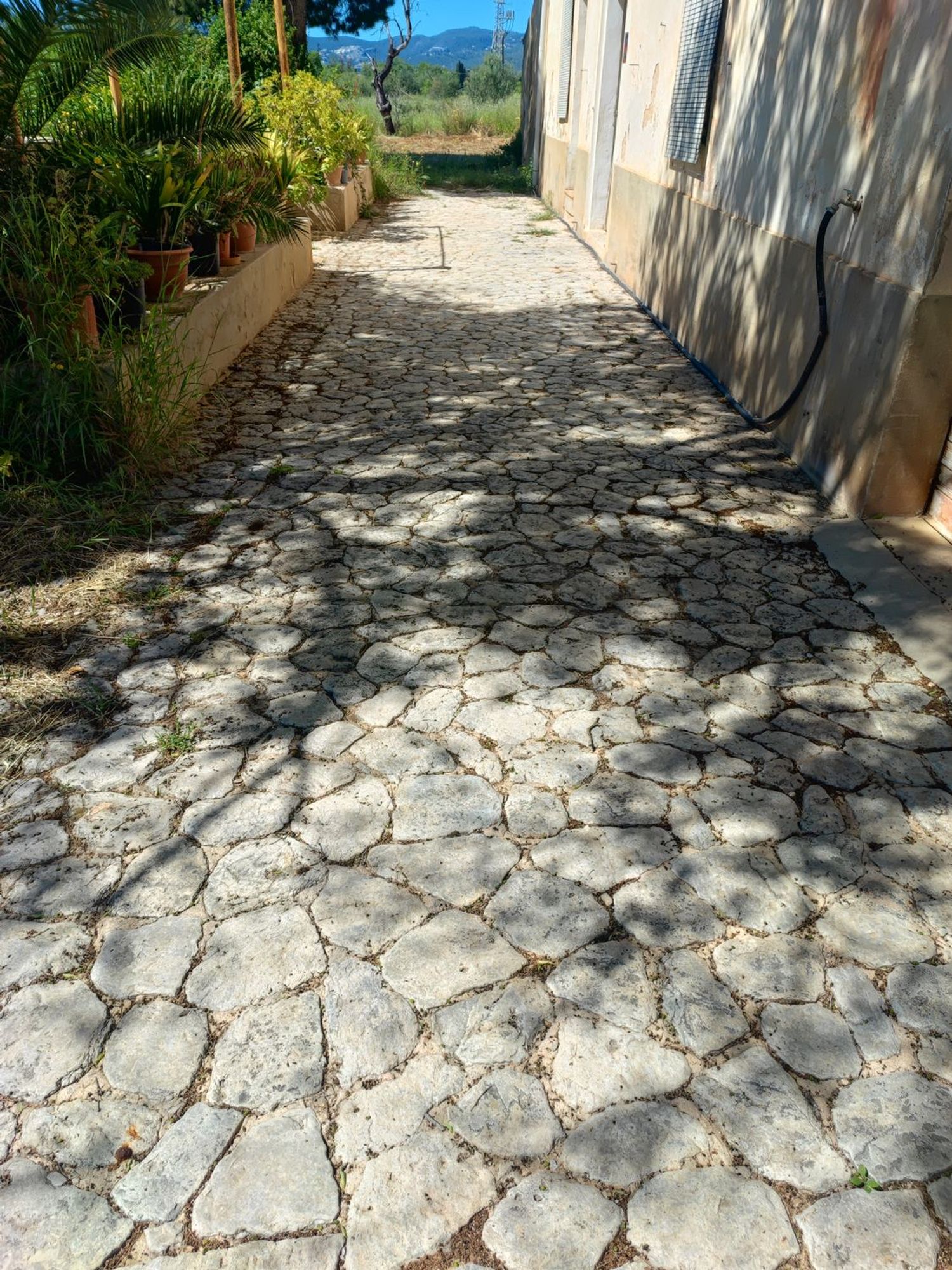 Finca rústica en Camino dels Reis, 477 - Foto 4