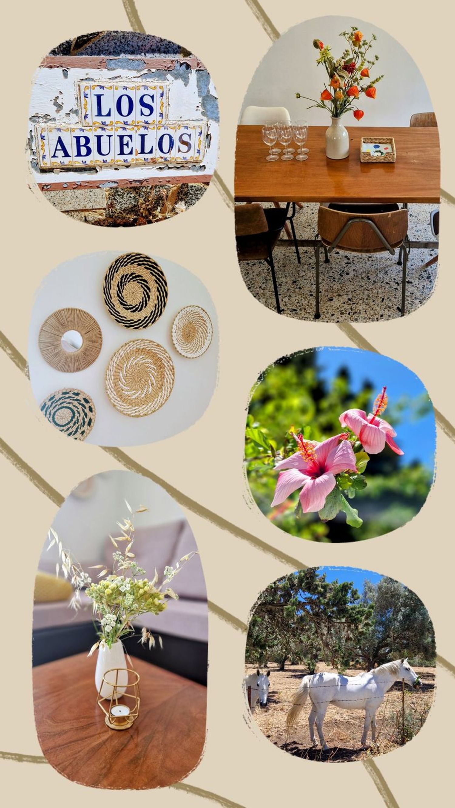 Finca rústica en carril el Clavijo, 39 - Foto 35