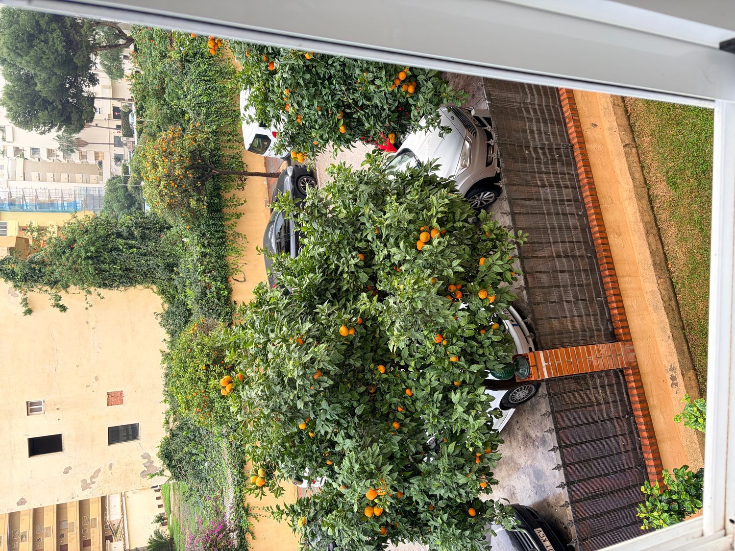 Piso en calle Burgos, 4 - Foto 14