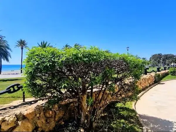 Chalet adosado en Avenida Santiago Bernabéu, 46, Calas de Santa Pola este, Calas de Santa Pola este - Foto 23