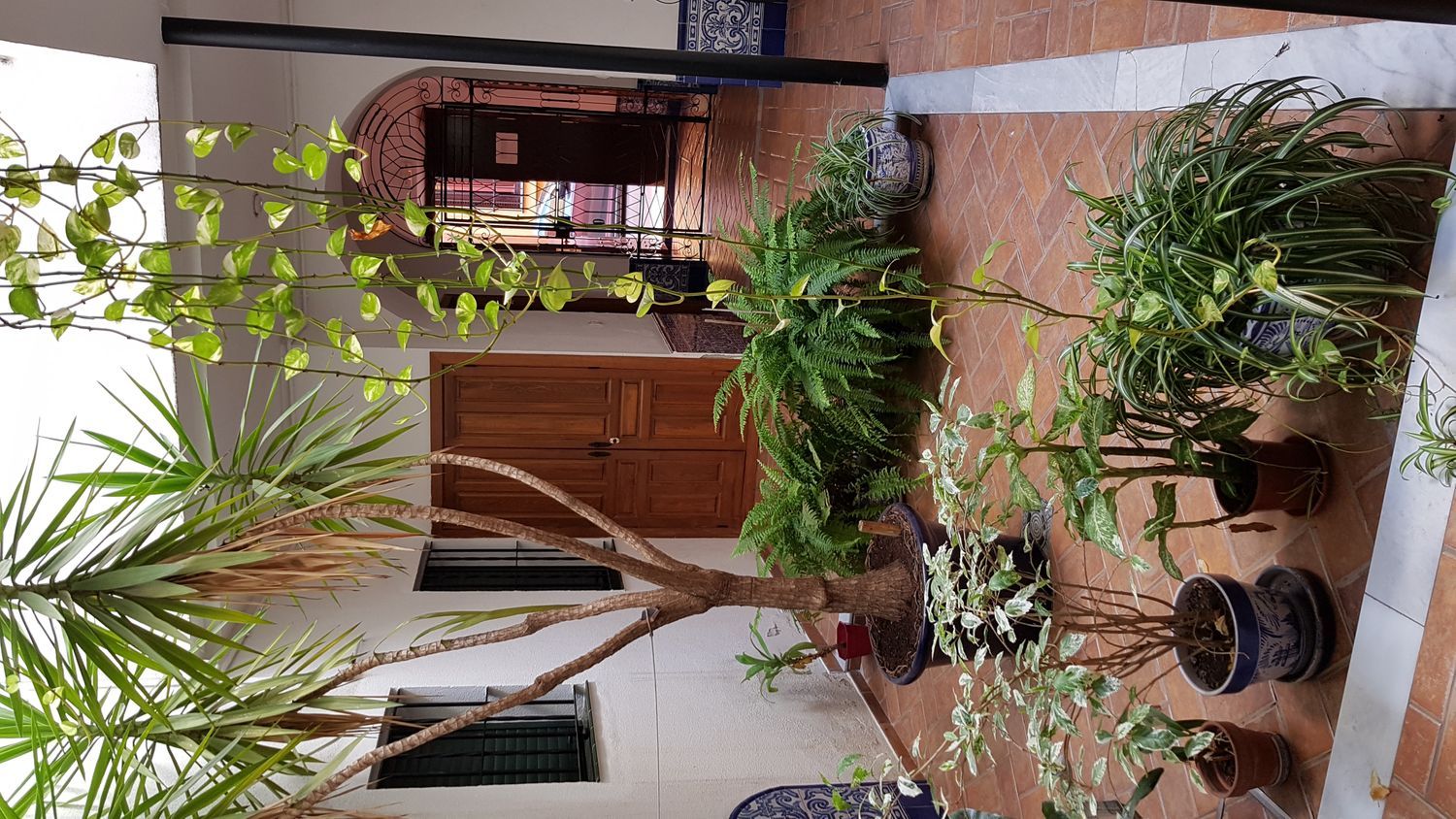 Piso en calle Pureza, 92 - Foto 4