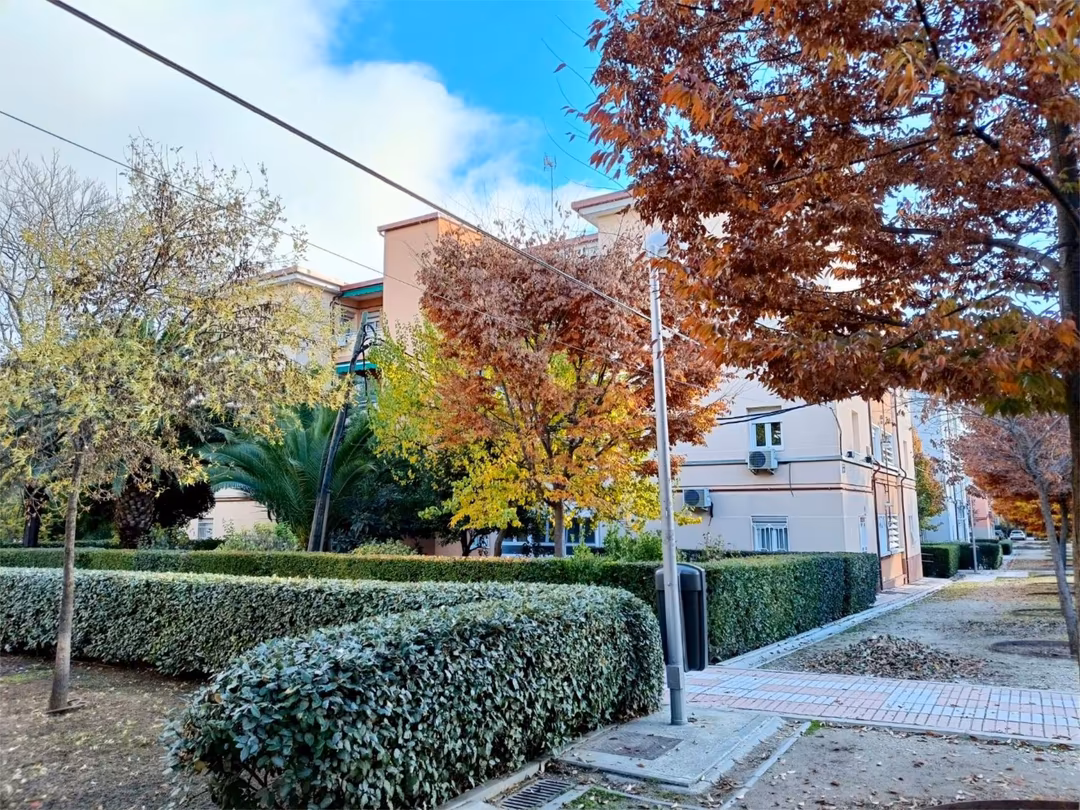 Piso en  Colonia Occidente 8 - Foto 21