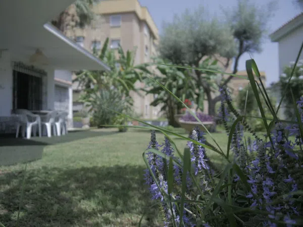 Casa independiente en calle Don Diego de Miranda, 6