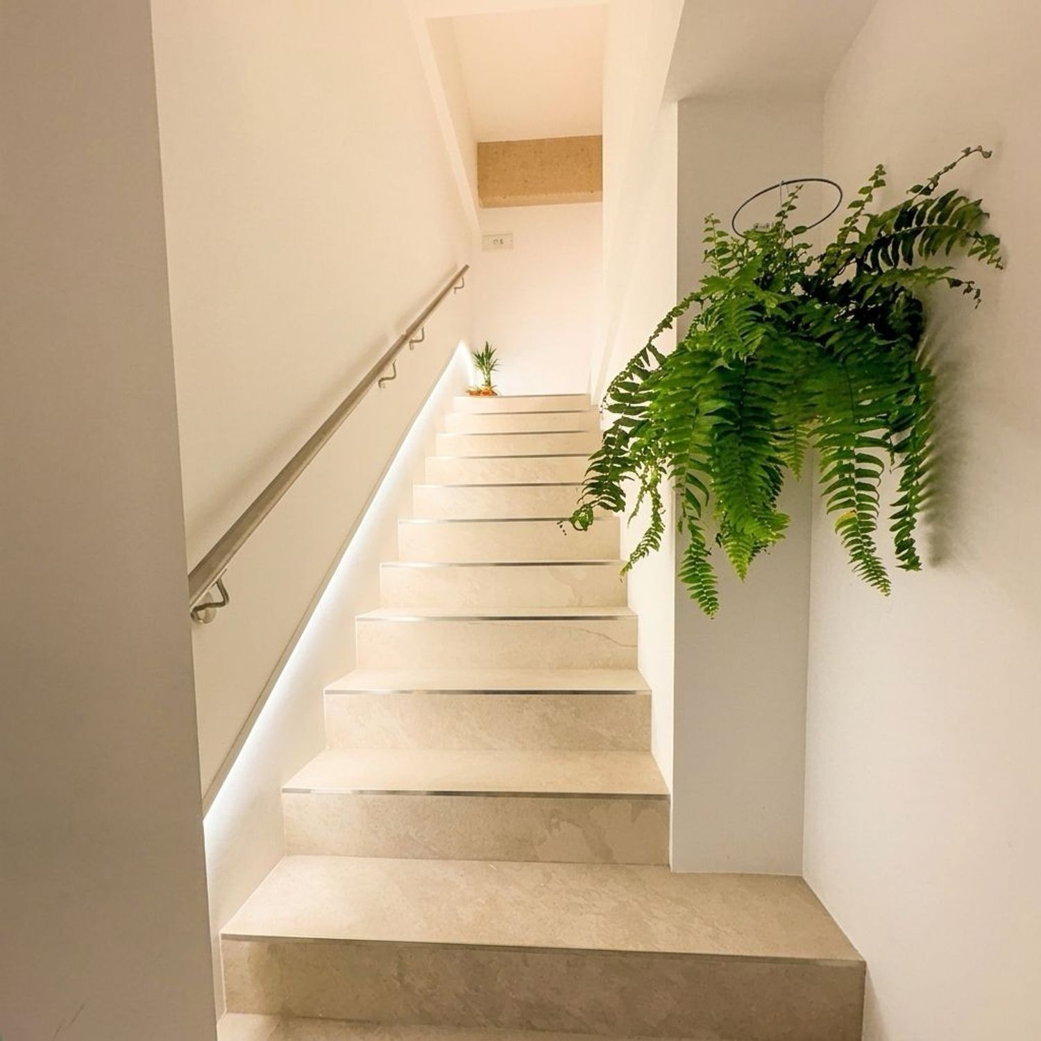 Venta de Piso en calle Padre Maceda, 7, Pamplona/Iruña | 265.000 € | Kelify