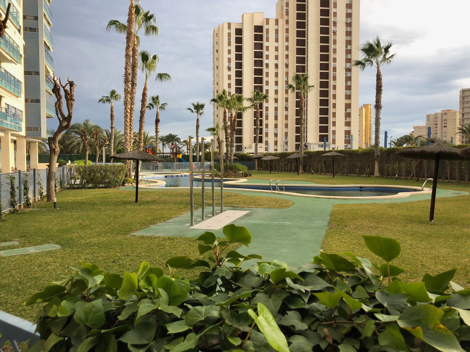 Estudio en camino Muchavista, 24