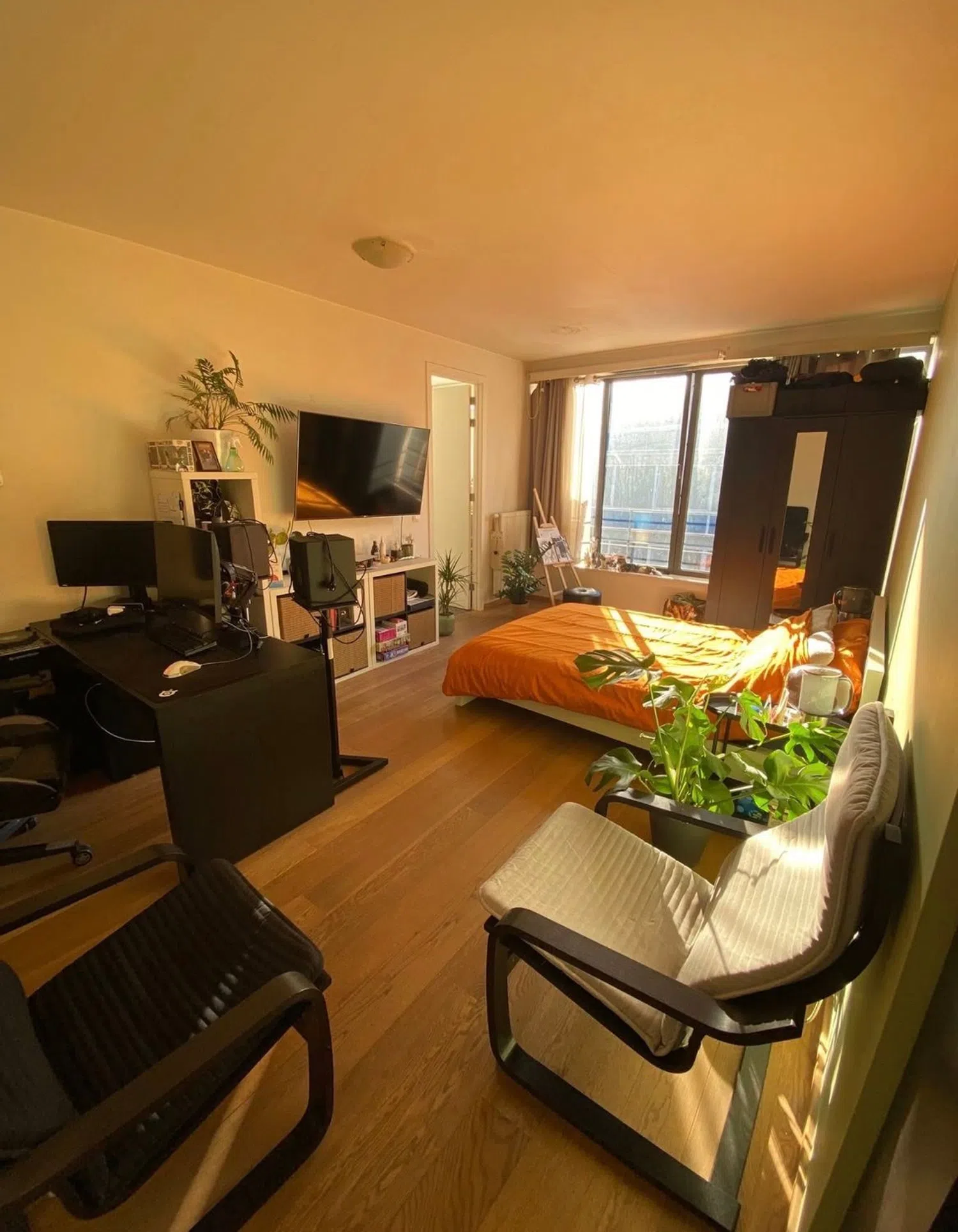 Estudio en calle del Príncipe, 20 - Foto 3