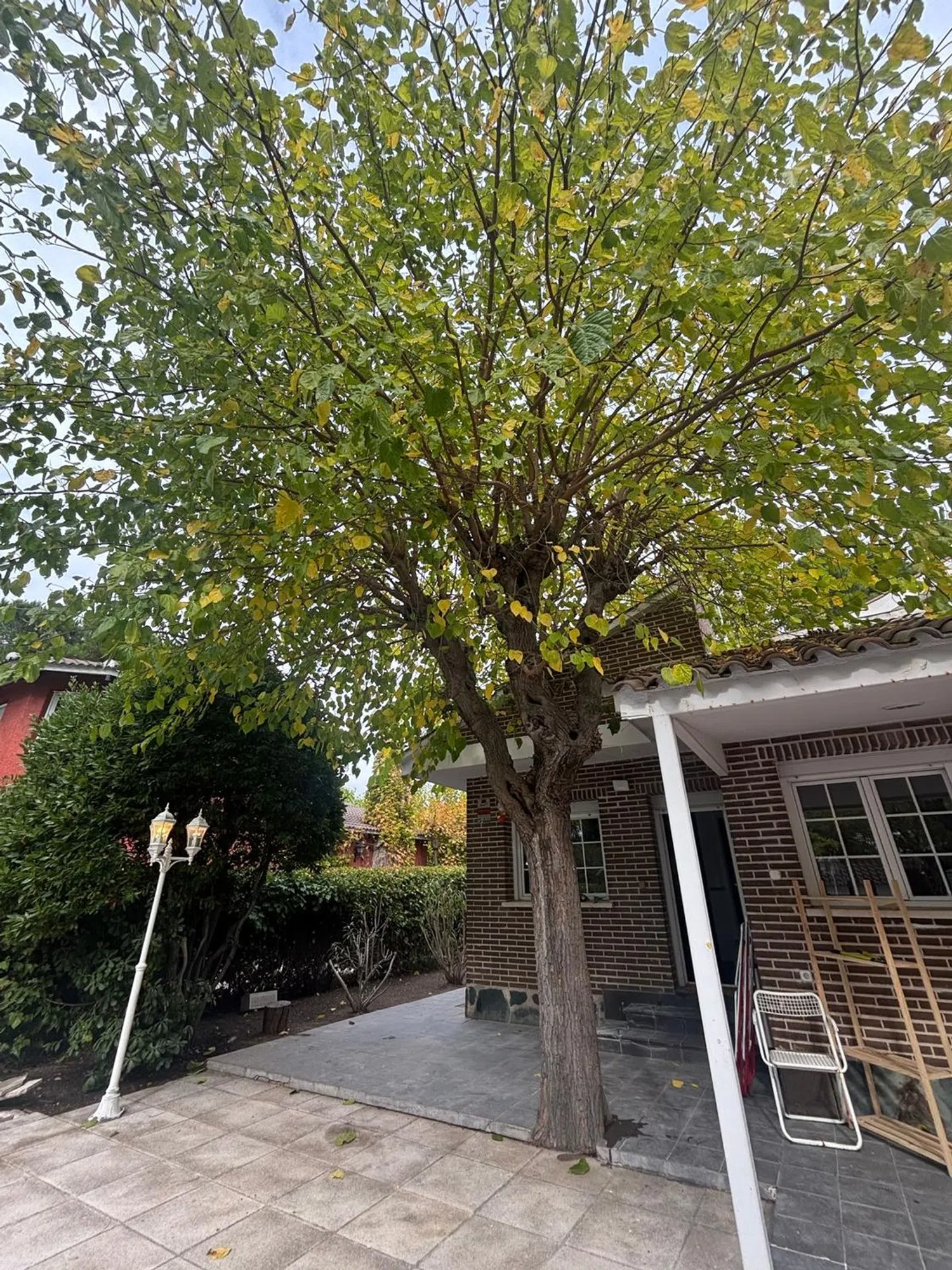 Casa independiente en Urb. la cabaña Barrio La Cabaña - Foto 9