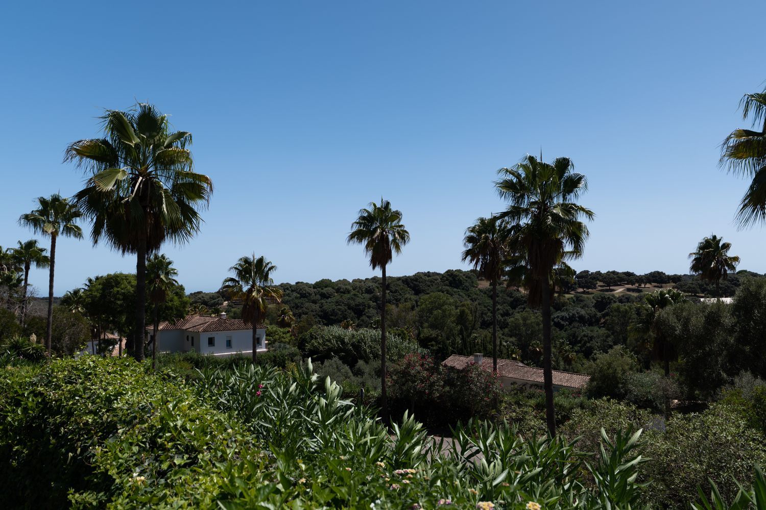 Casa o chalet independiente en Alto, 1, Sotogrande Costa, Sotogrande Costa - Foto 12