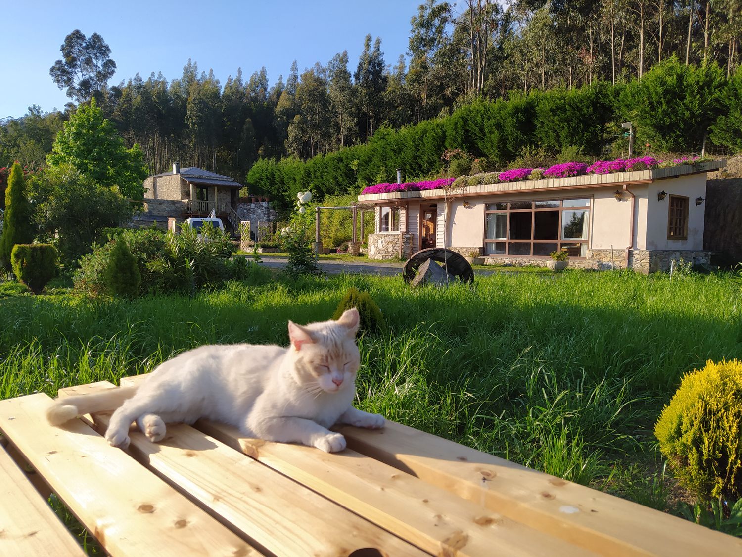 Casa rural en Gilfonxe, 6 - Foto 14