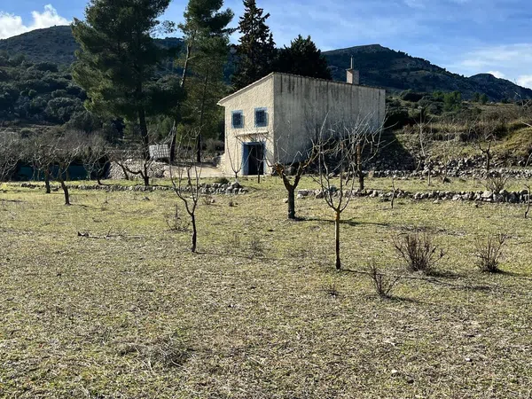 Finca rústica en Cv-752 s/n - Foto 8