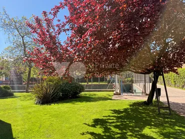 Planta baja en Majadahonda - Foto 57