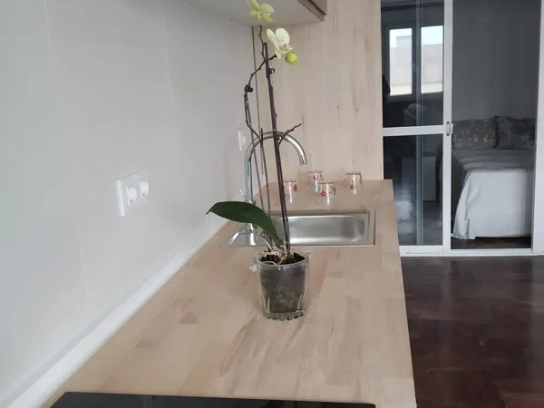 Piso en Villa de paradas, 3, Playa Victoria - Paseo Marítimo, Playa Victoria - Paseo Marítimo - Foto 3