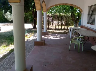 Finca rústica en  Calle Francisco Palacio Ortega 1 - Foto 3
