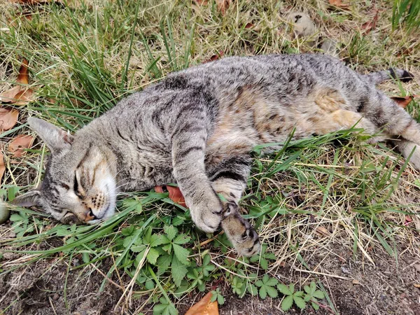 Casa de pueblo en Barrio el Frai, 9 - Foto 24