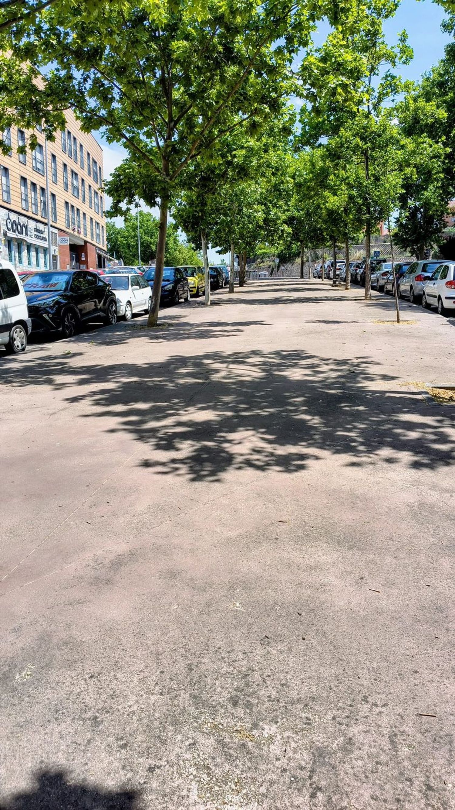 Piso en Avenida de Aguas Vivas, 25 - Foto 2