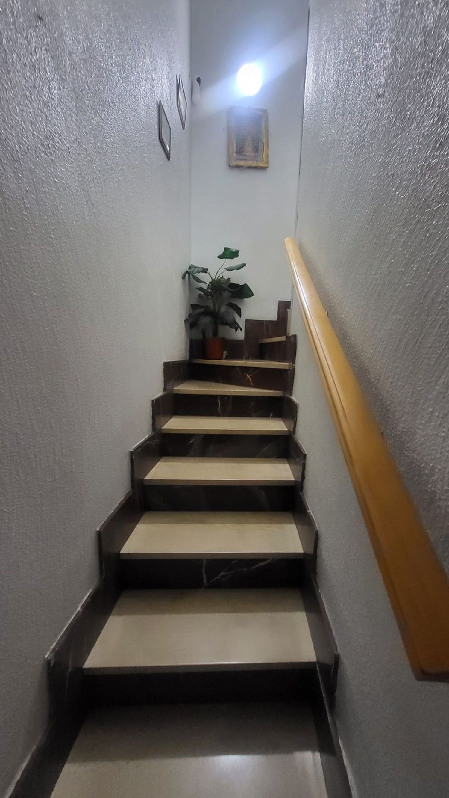 Casa o chalet independiente en venta en Calle San José, 48 - Foto 6