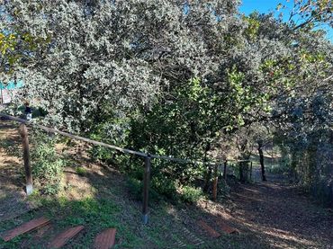 Finca rústica en  Camino Carrascoso Siete Fincas 180D - Foto 7