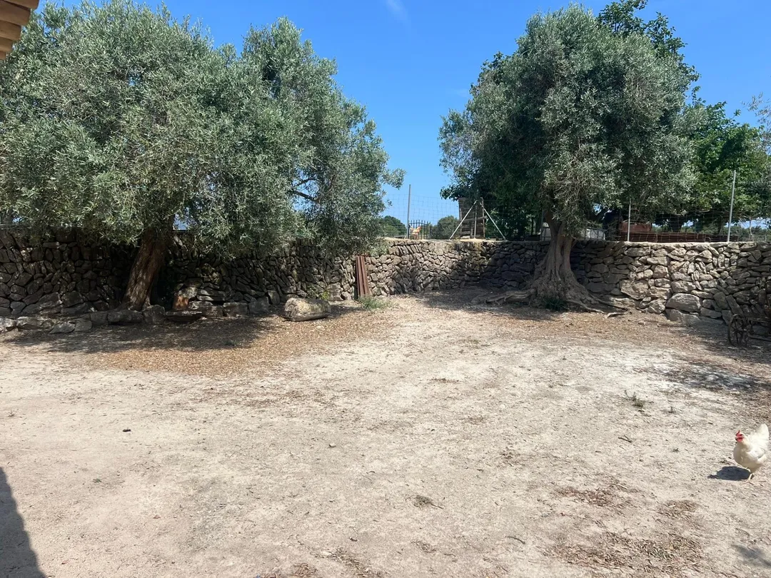 Finca rústica en - Foto 2