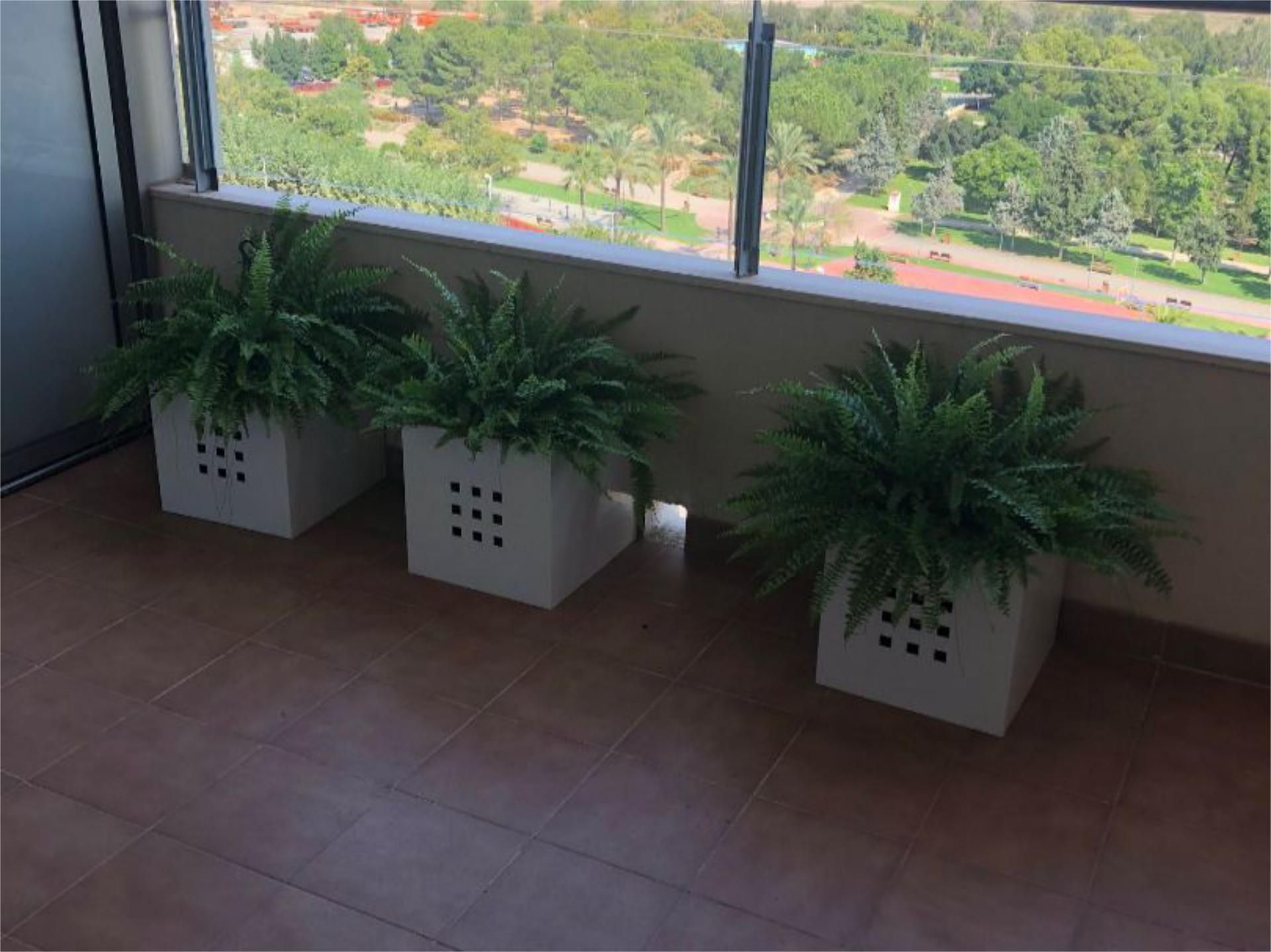 Piso en  Carrer Sèquia de Favara 1 - Foto 4