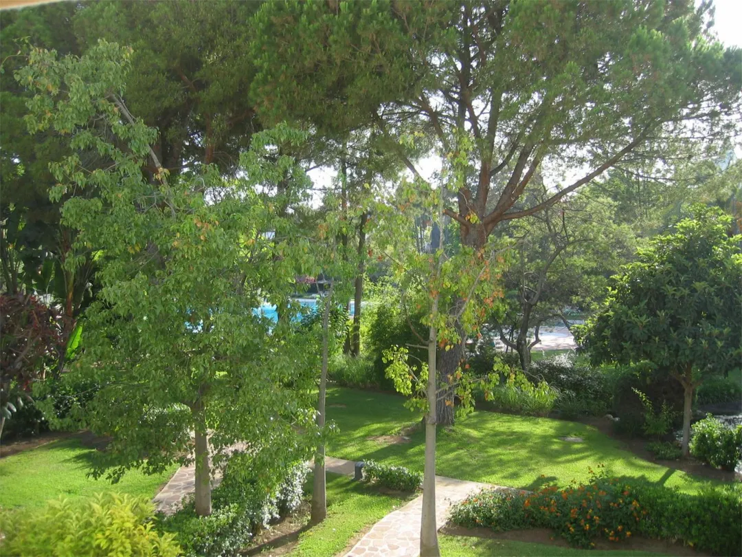 Piso en  Avenida de los Andaluces 40 - Foto 22