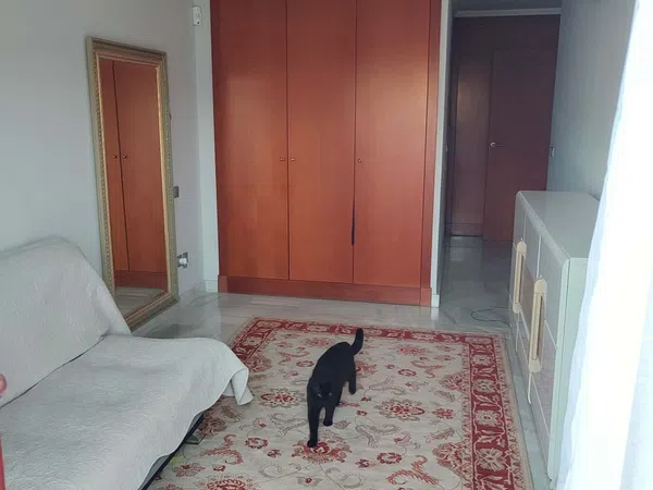 Dúplex en Urbanizacion Parque Botanico, 5 - Foto 18