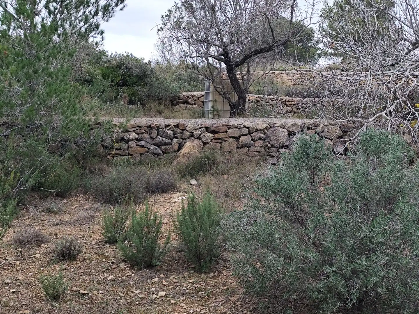 Finca rústica en  Avinguda Saragossa 2 - Foto 66