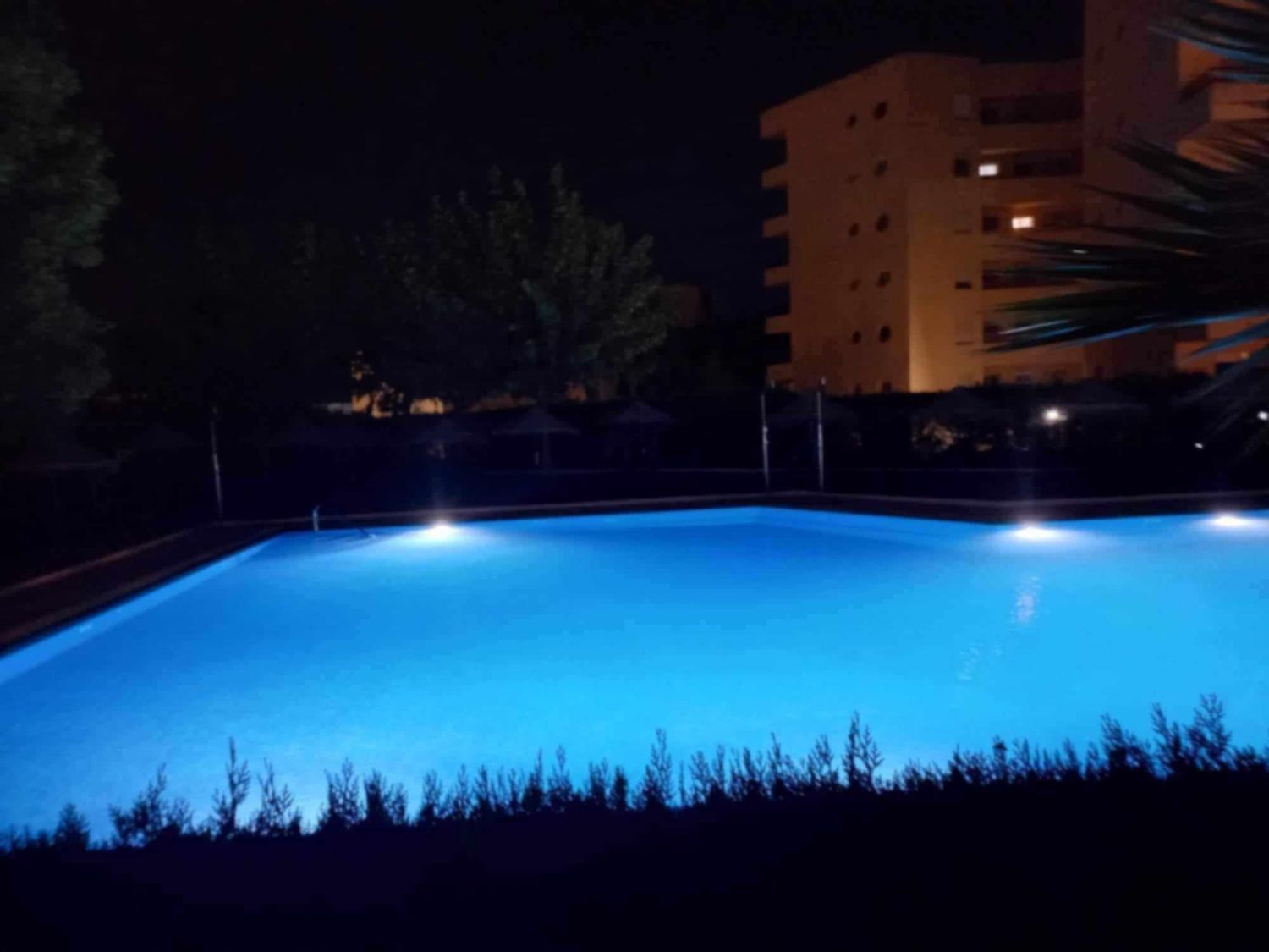 Estudio en Sector-M, 1, Zona Golf - Torre Almenara - Foto 12