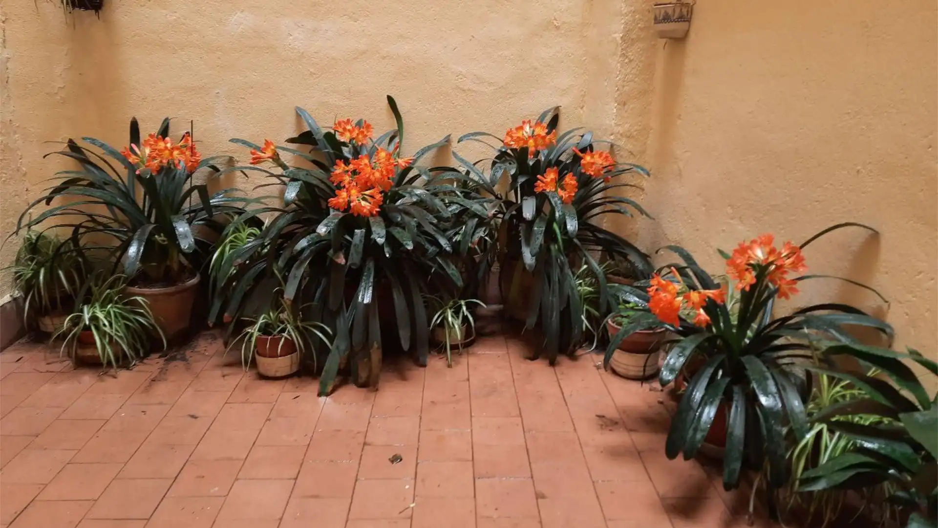 Piso en  Plaza Fuente Honda 6 - Foto 8