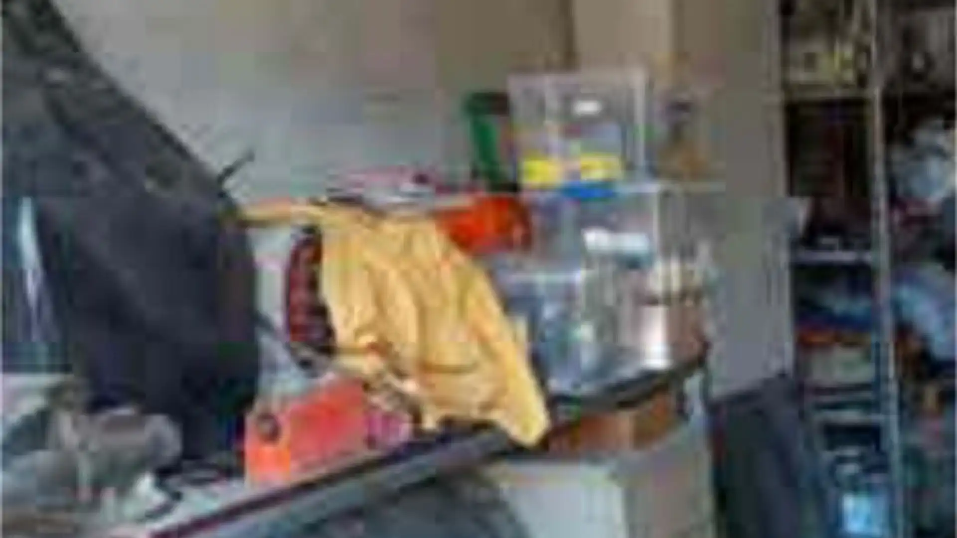 Chalet en Zona Sur - Foto 7