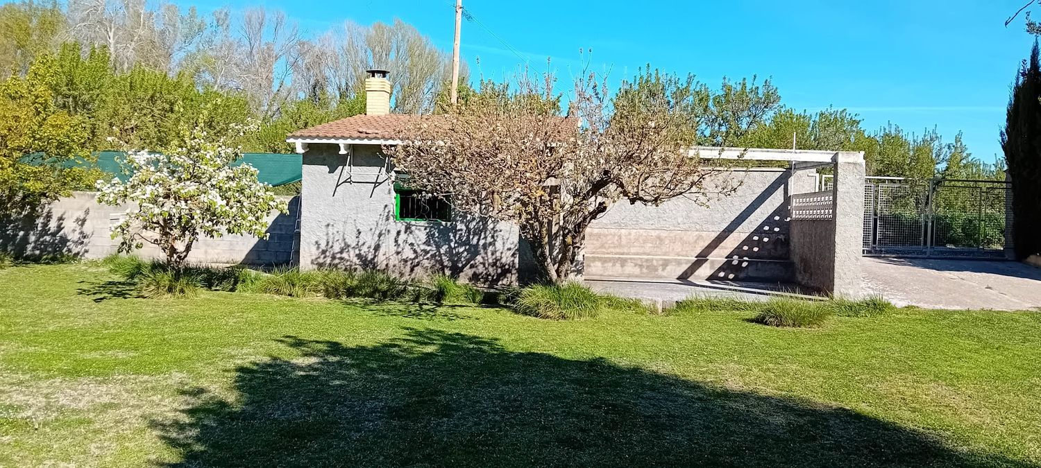 Finca rústica en Extramuros s/n - Foto 3