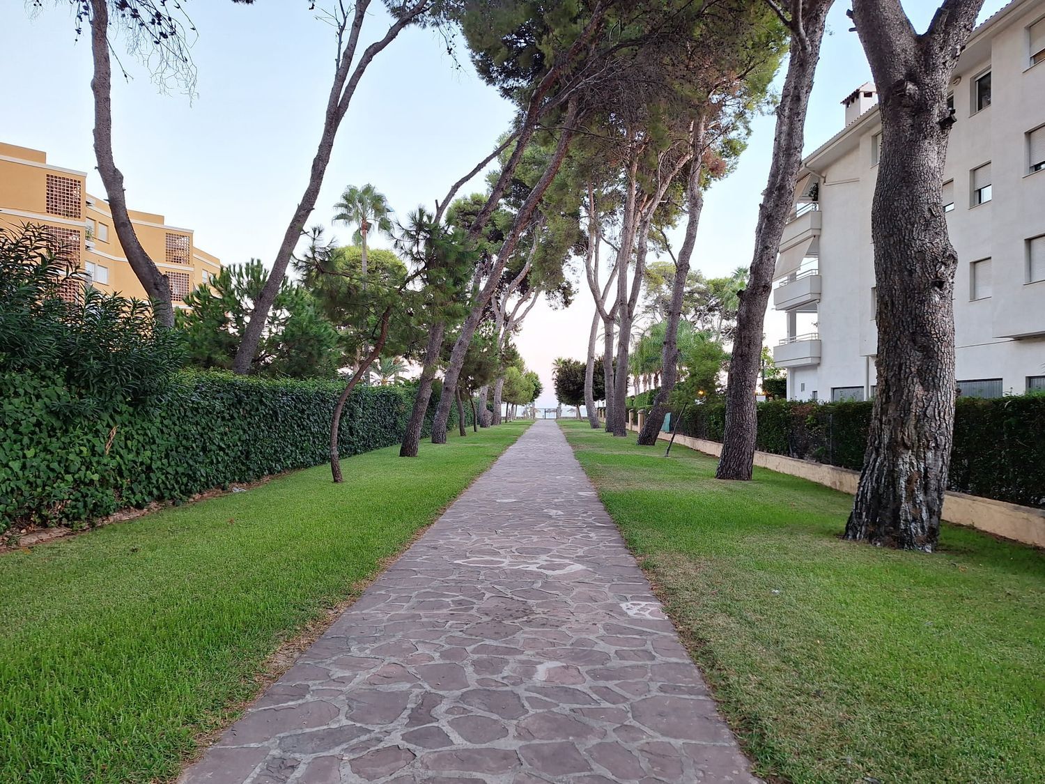 Piso en Calle Bisbe Serra, 5, Voramar, Voramar - Foto 20