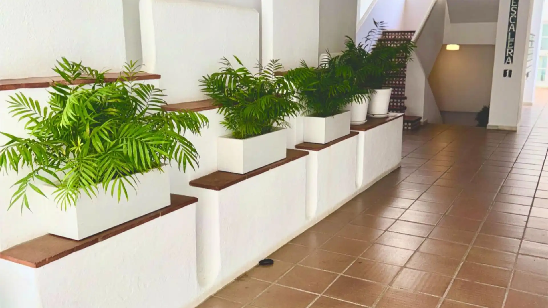 Apartamento en  Calle Irís 11 - Foto 3