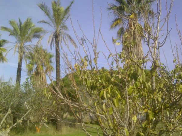 Casa independiente en calle Ceuta s/n - Foto 4