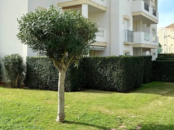 Piso en Calle Mar Adriatica, 8, El Palmar-Los Molinos - Foto 12