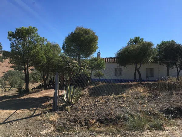 Finca rústica en Camino de las Alcobillas s/n - Foto 1