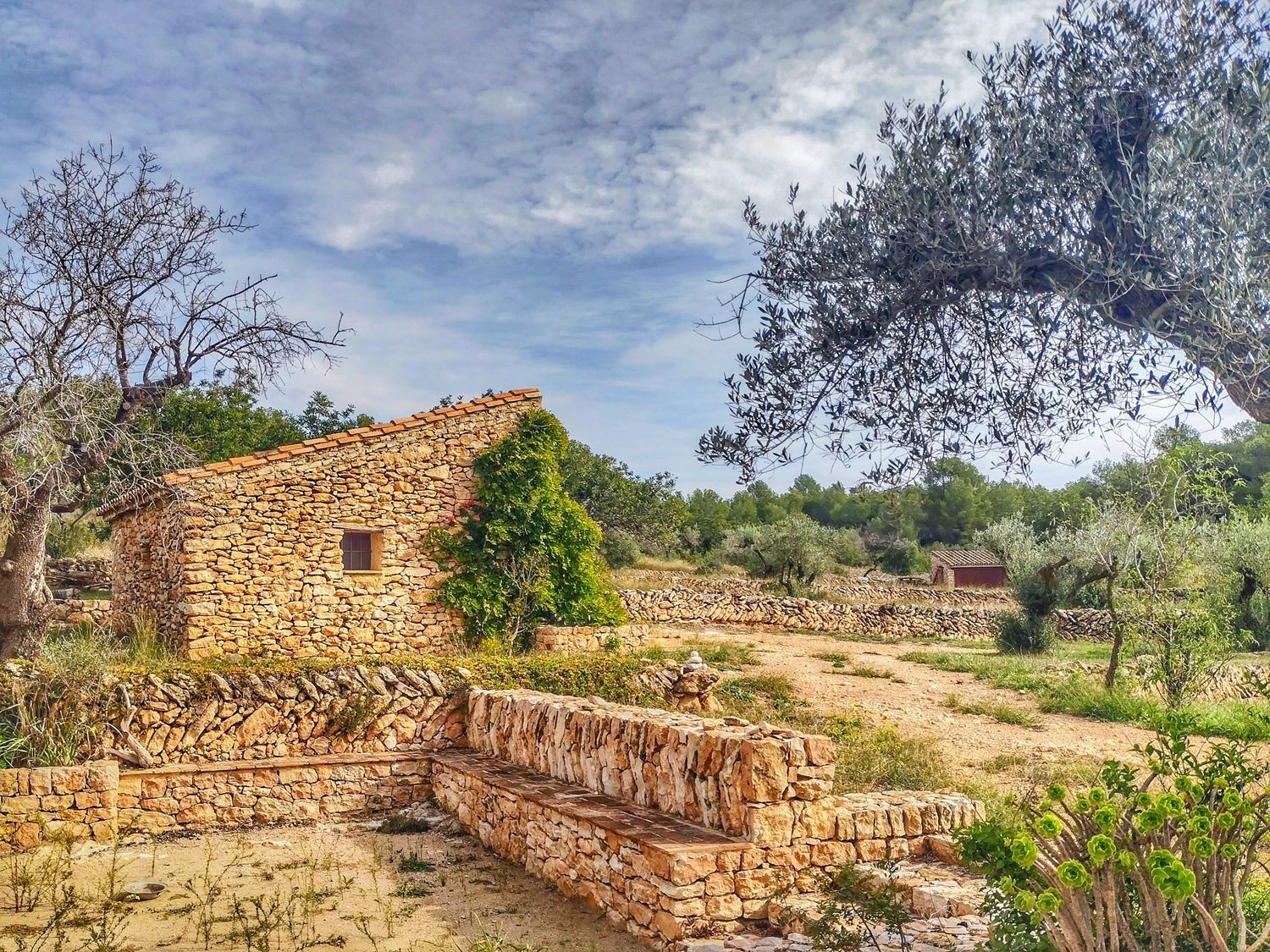 Casa rural en Camino Llorell, 56 - Foto 4