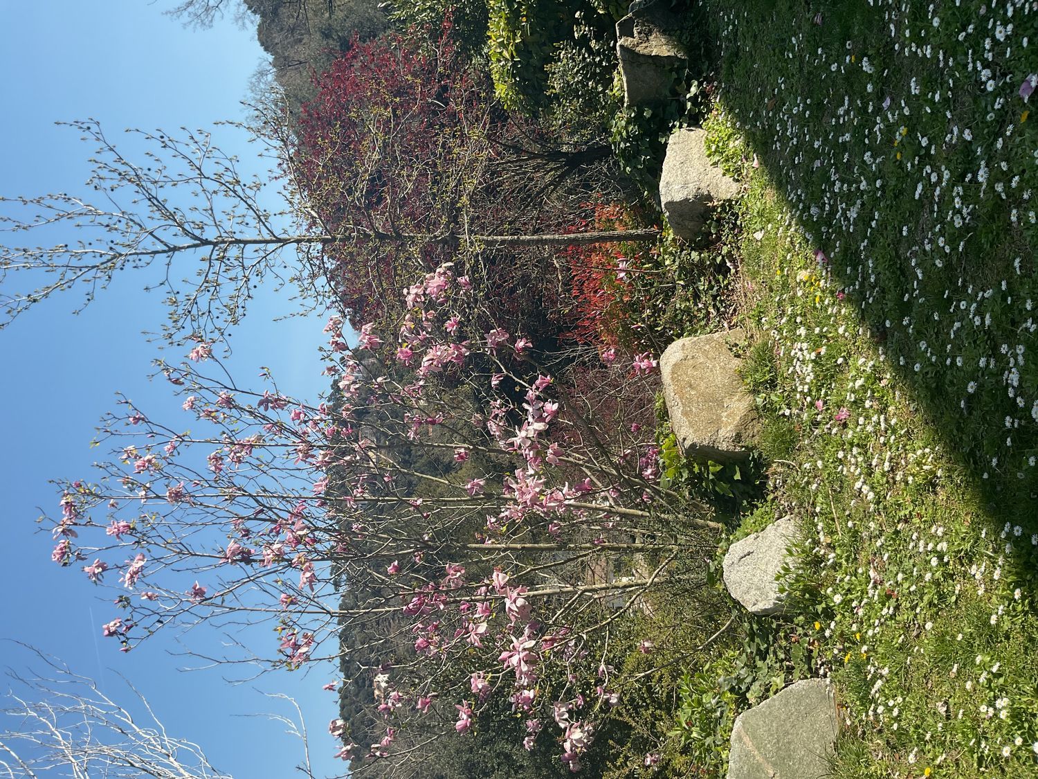 Casa independiente en calle de Magarola, 1 - Foto 8