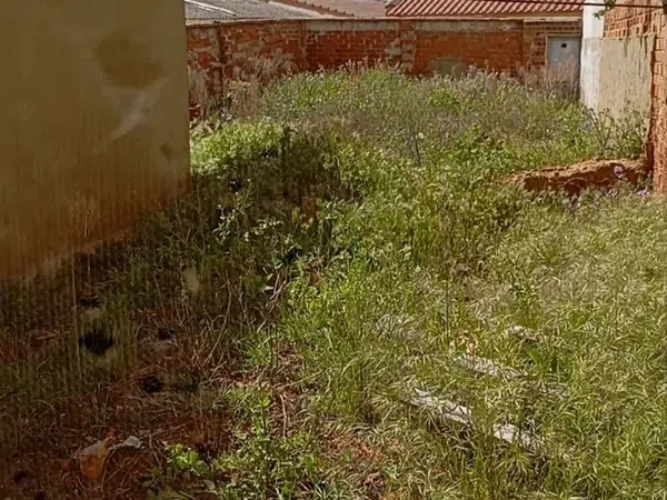 Casa de pueblo en Calle Breton Herreros, 9 - Foto 21