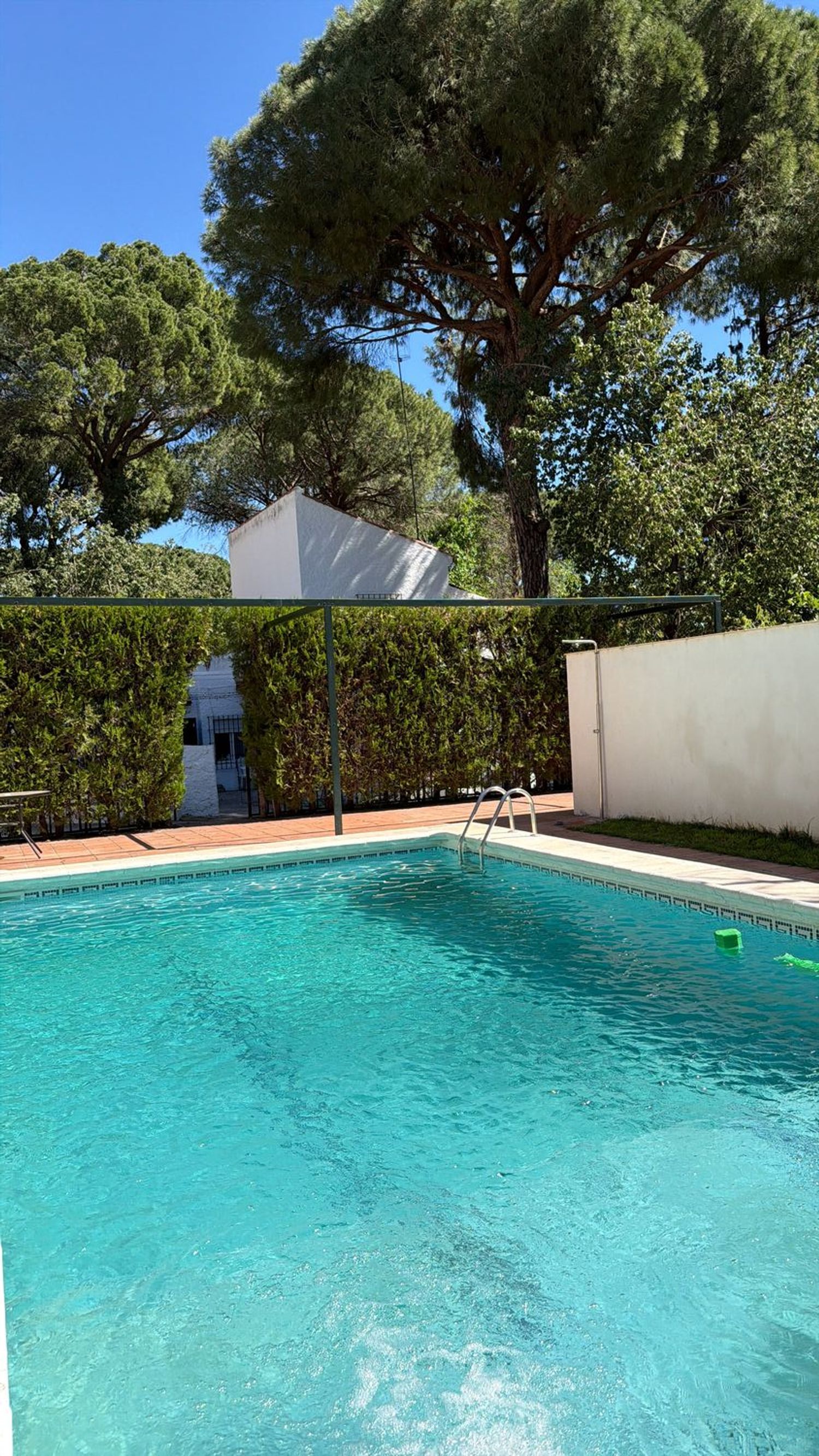 Casa o chalet independiente en Calle de Oromana, 18 PinoRojo, Oromana - Foto 4