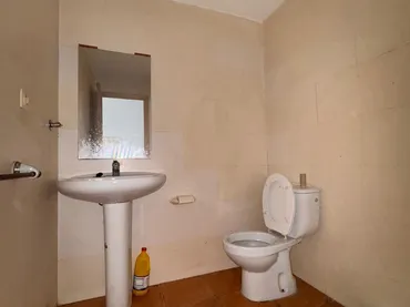 Local comercial en Alicante / Alacant - Foto 14