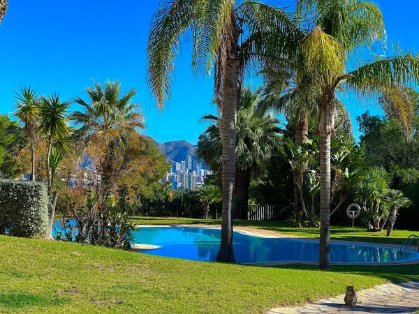 Piso en Calle Viena, 47, Golf Bahía, Golf Bahía - Foto 3