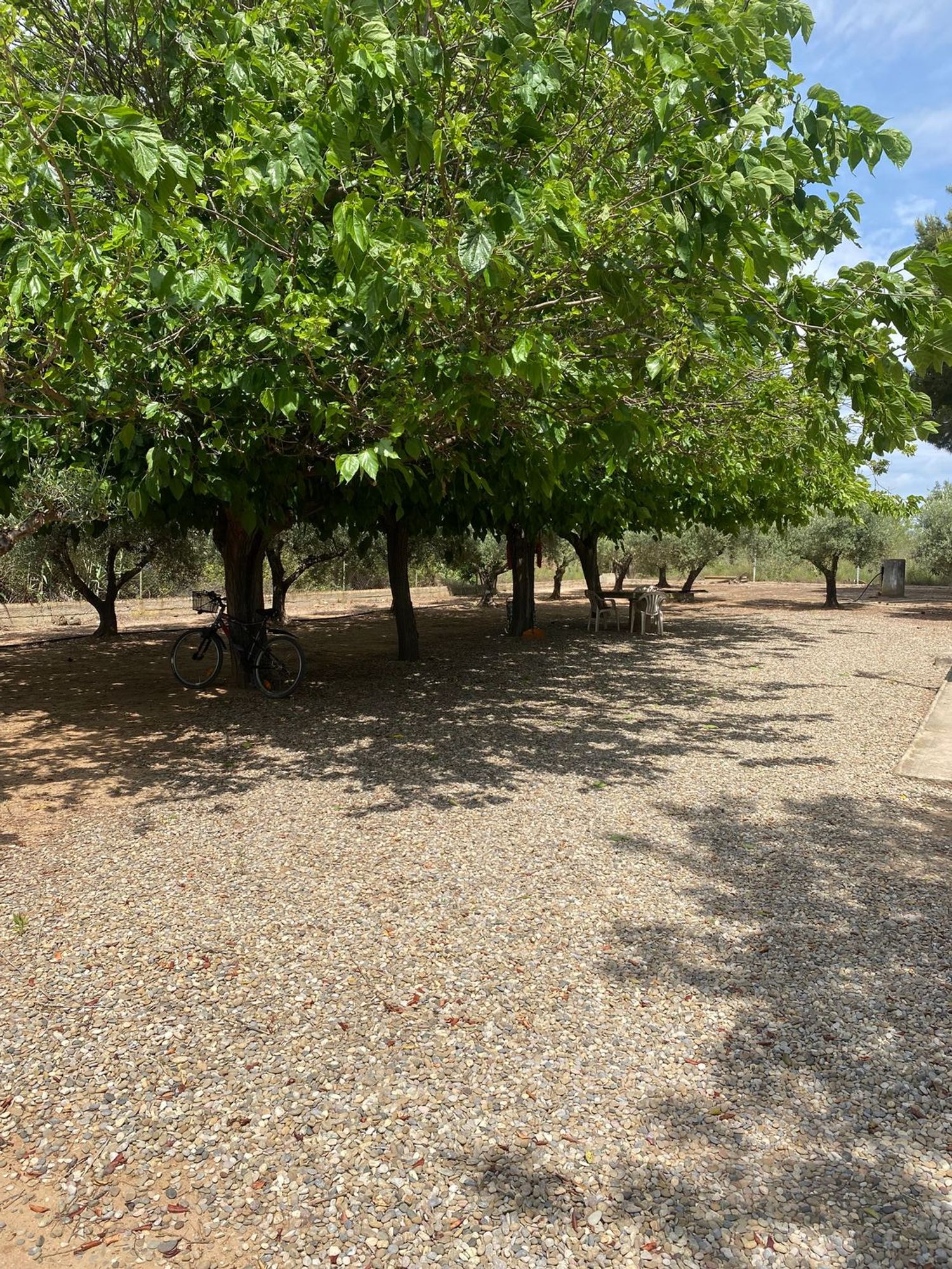 Finca rústica en Avenida Diputación 62, 62, Vilafortuny platja - Foto 11