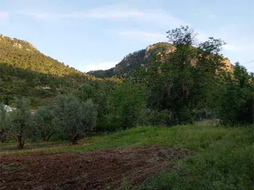 Chalet en río madera de arriba Albacete. - Foto 8