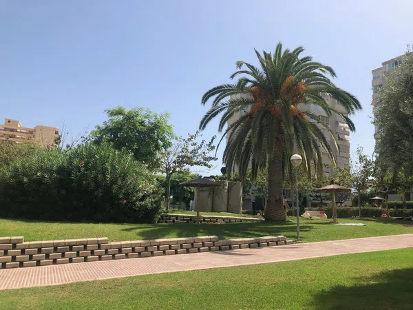 Piso en Avenida de la Costa Blanca, 102, Cabo de las Huertas - Foto 28