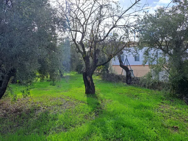 Casa de pueblo en Banyeres de Mariola - Foto 16