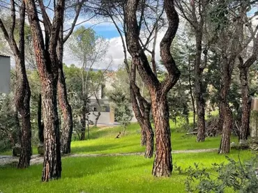 Chalet en Las Rozas de Madrid - Foto 34