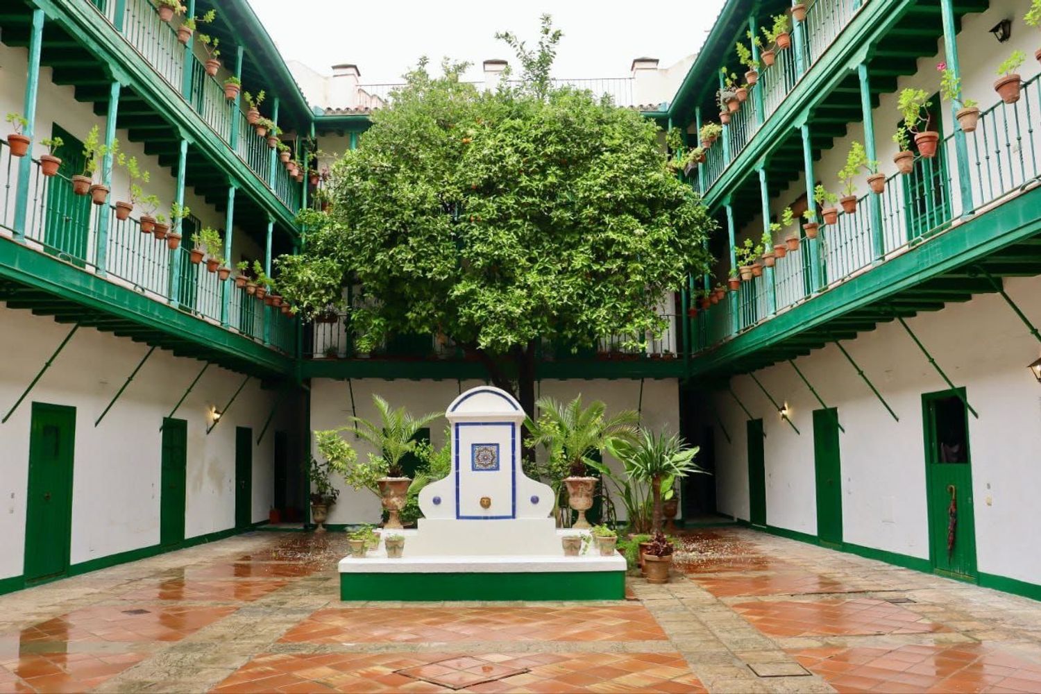 Piso en Calle Alcázares, 9, Encarnación-Las Setas - Foto 12