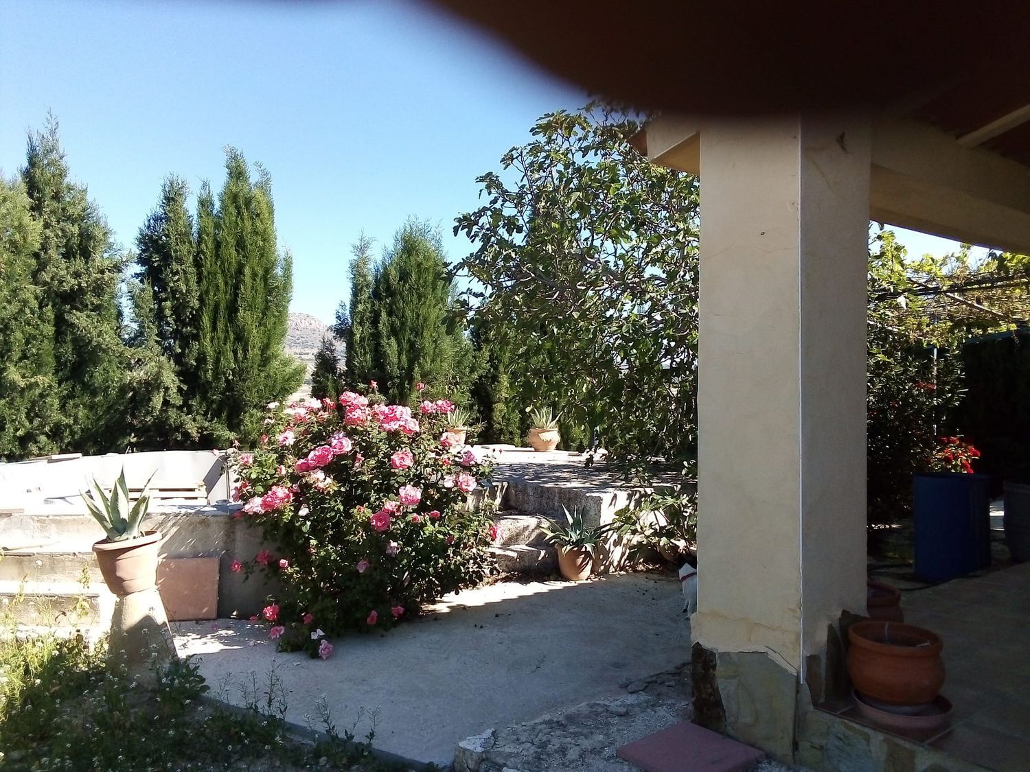 Cortijo en Camino del Campo, 20 - Foto 7
